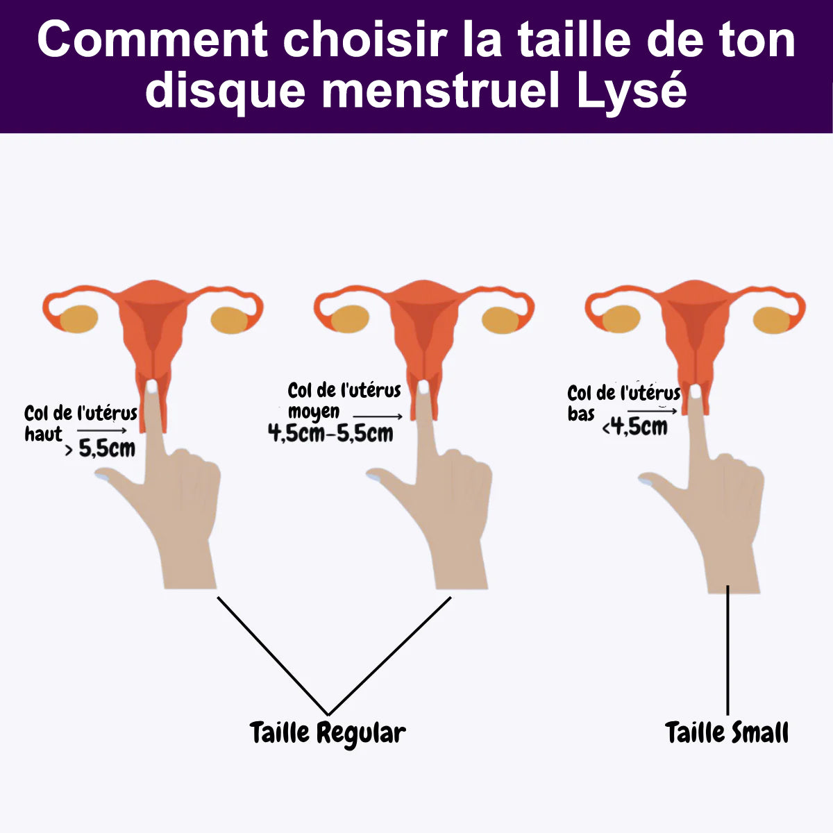Disque Menstruel Réutilisable Lysé (1+1 gratuit)